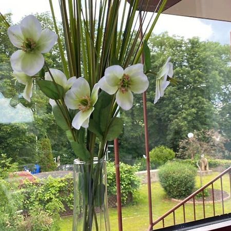 Ferienwohnung Nava Auf Der Kauzenburg バート・クロイツナハ エクステリア 写真